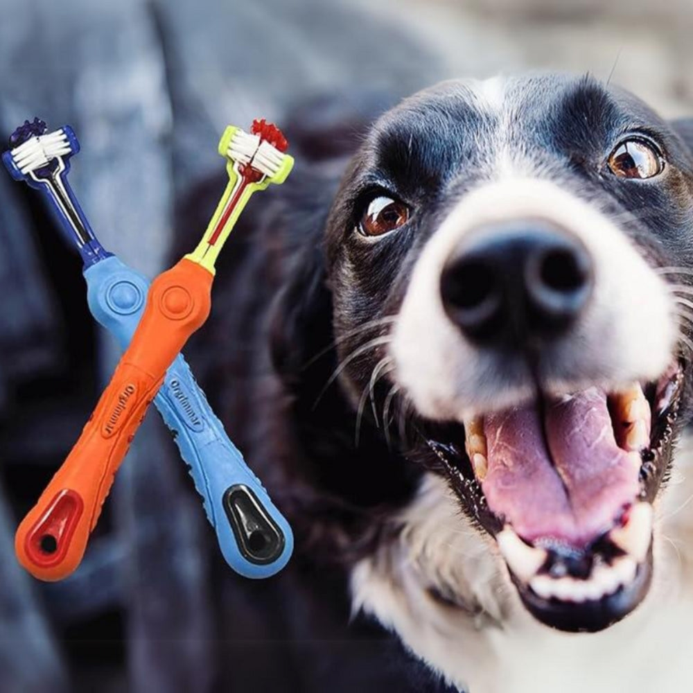 PawBright - Three-headed pet toothbrush for fresh breath and clean teeth