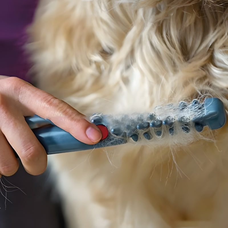 PetGroom – Elektryczna szczotka pielęgnacyjna dla psów i kotów ze stalowymi zębami