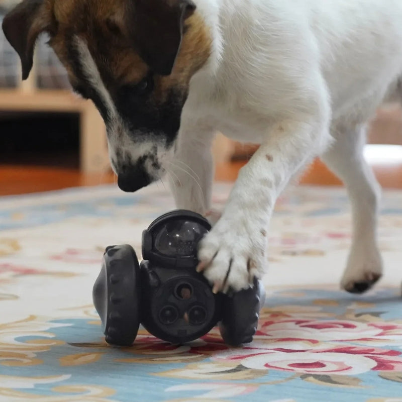 RoboTreat – Jouet pour animaux avec design robotique et distributeur de nourriture