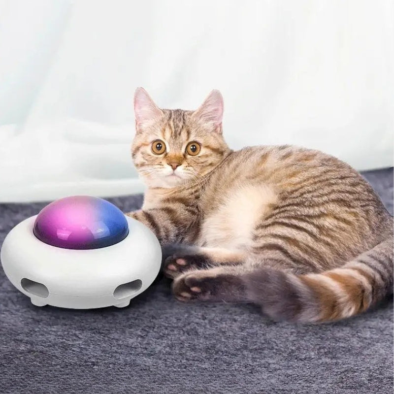 PurrWhirl – Gioco per Gatti con Velocità Regolabili e Design Ricaricabile USB