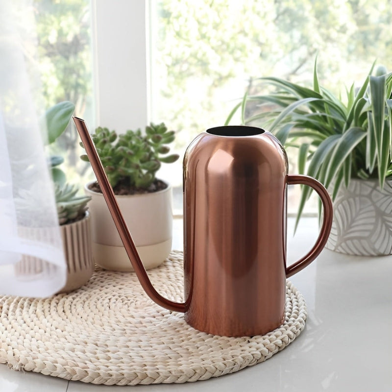 AquaBloom – Arrosoir en acier inoxydable avec long bec