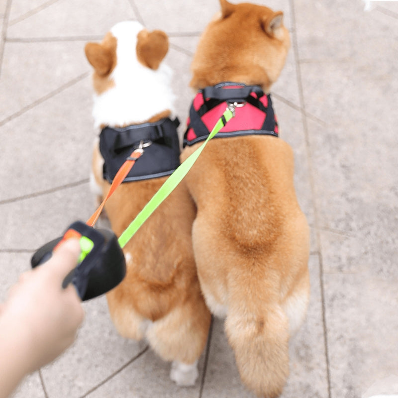 DogEase - Guinzaglio doppio retrattile per cani con torcia e controllo senza grovigli