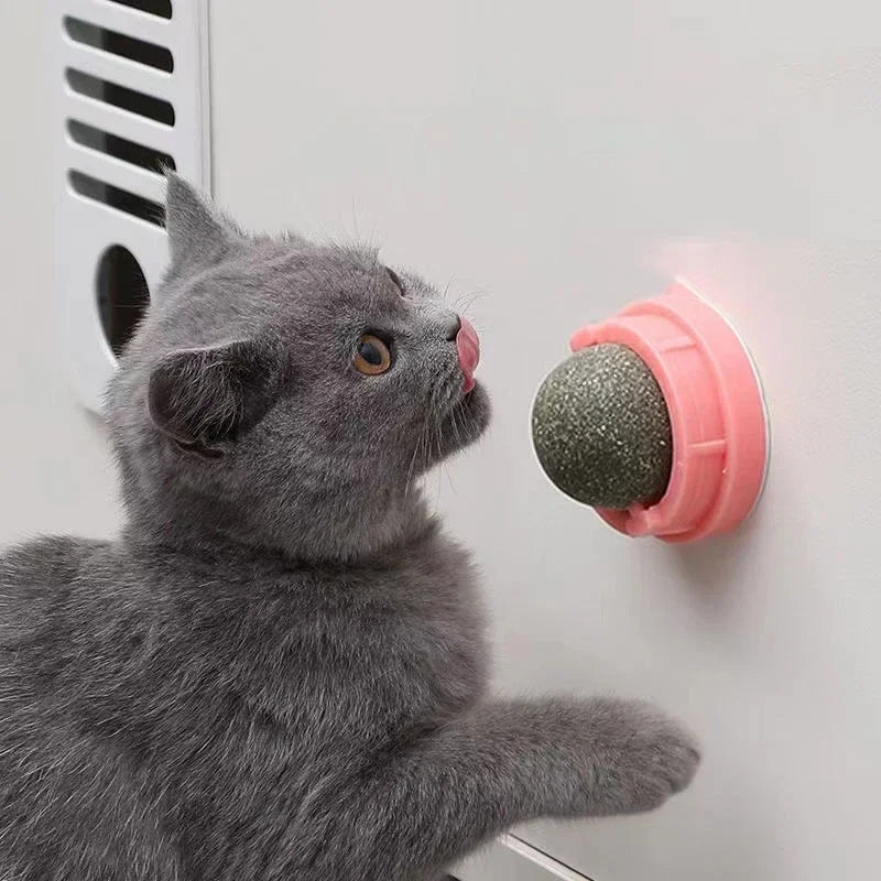 PawSphere – Cat Toy with Wall Mount and Movable Ball Design