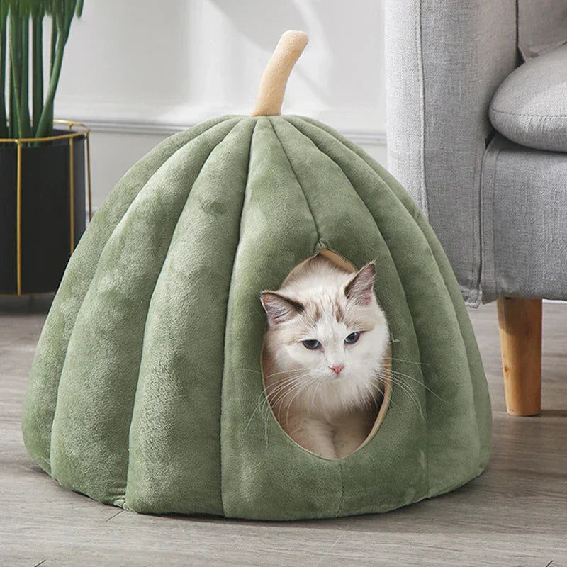CozyPaw – Maison pour Chats Inspirée de la Citrouille