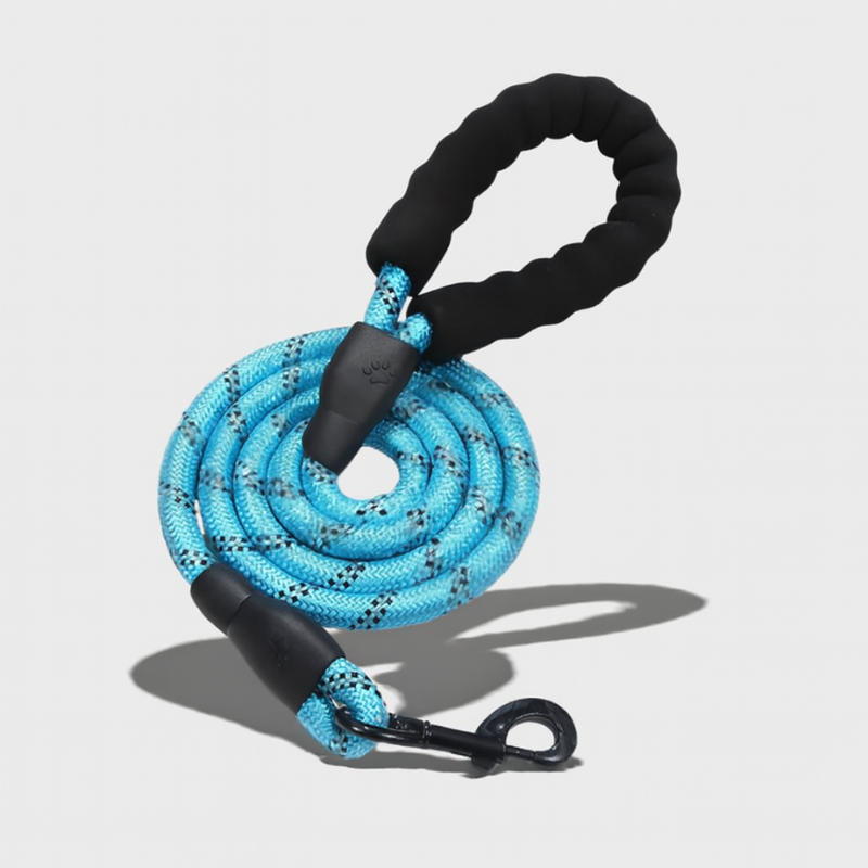 MaxGuard – Reflective Dog Leash with Padded Handle