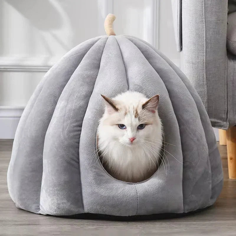CozyPaw – Maison pour Chats Inspirée de la Citrouille