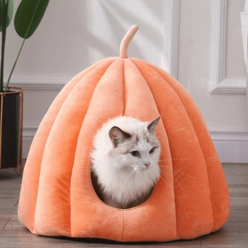 CozyPaw – Maison pour Chats Inspirée de la Citrouille