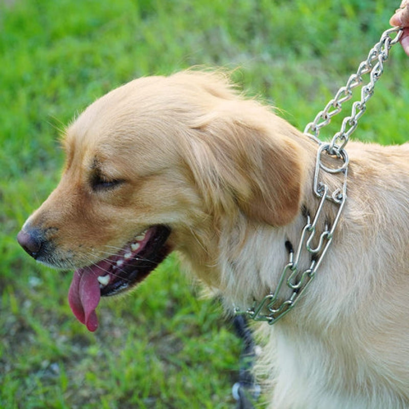 PawGuide – Collare per Cani con Maglie Rimovibili e Design Regolabile