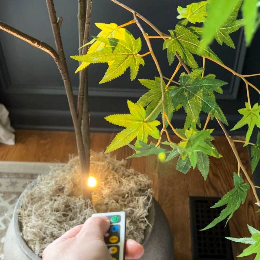VivaGlow - Elegancka lampa projektorowa z regulowaną ostrością i nowoczesnym designem
