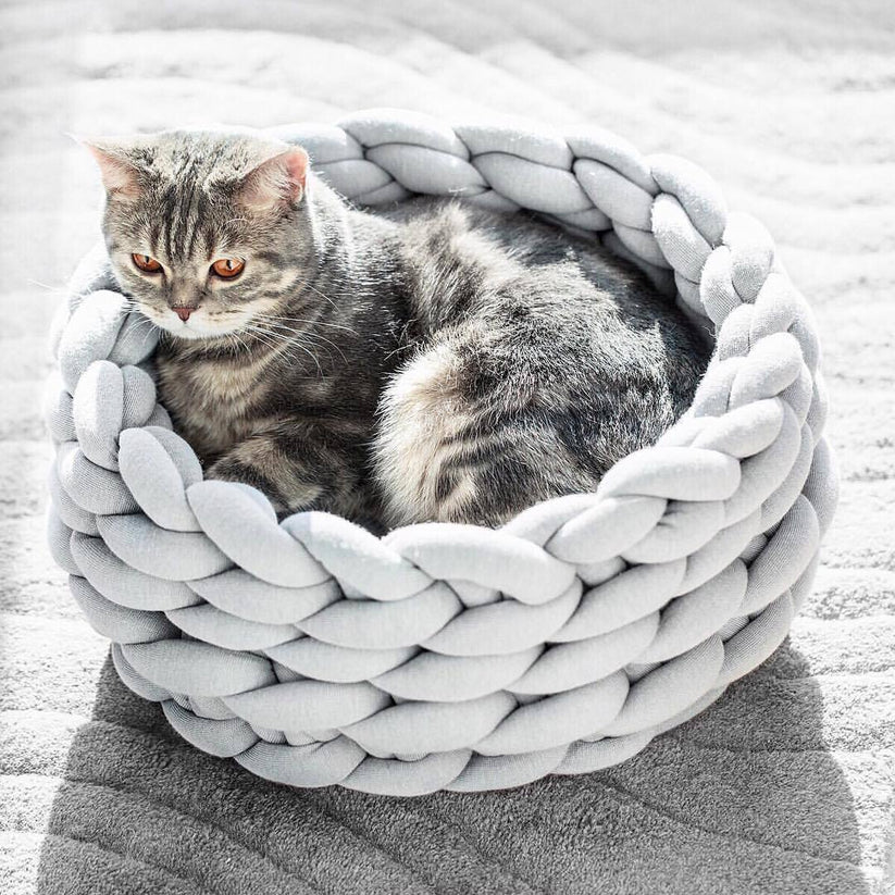 PawsMaster™ - Komfortowe Legowisko dla Kota