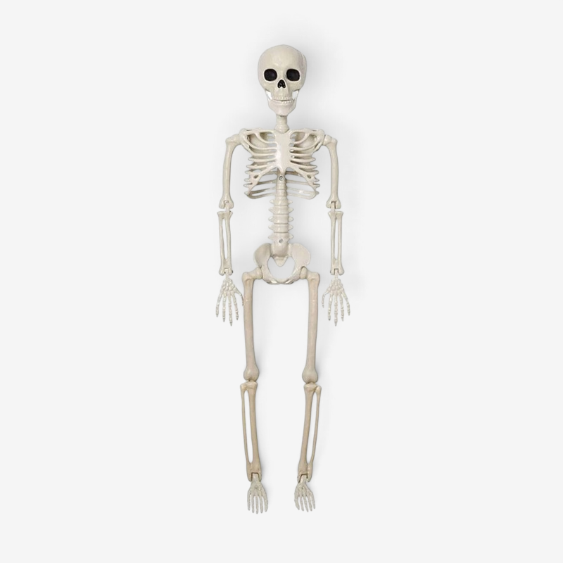 NightRaven - Animated Halloween Skeleton Decoration