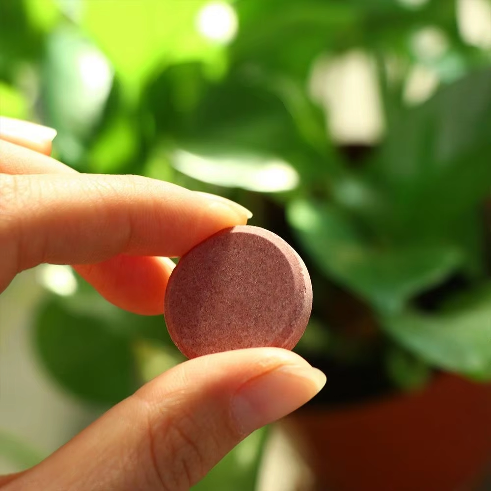 Floragro - Tablete organice cu eliberare lentă de îngrășământ pentru plante în ghiveci |