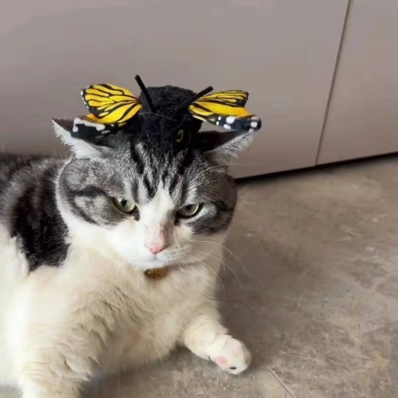 Juguete automático para gatos FlutterPaws con mariposa aleteante y sensor de movimiento