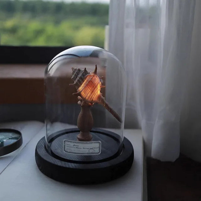 MushGlow - Mini lampada notturna a fungo in cupola di vetro con calda luce magica