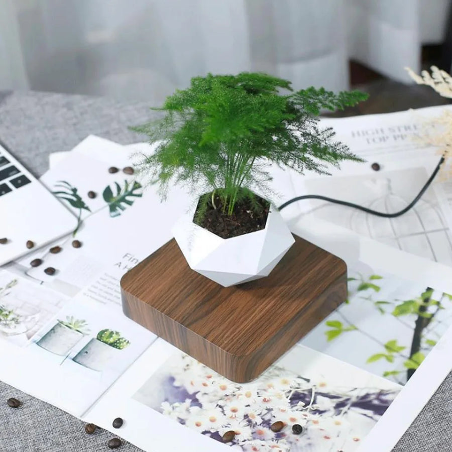 OrbitGrow - Futuristic floating planter with a fascinating 360° rotation