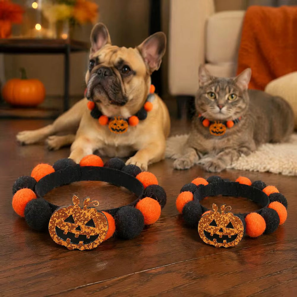 Halloween Pet Collar with Pumpkin and Skull Designs