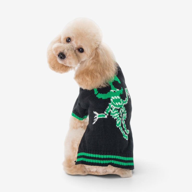 PumpkinPaw - Halloween Pumpkin Dog Sweater