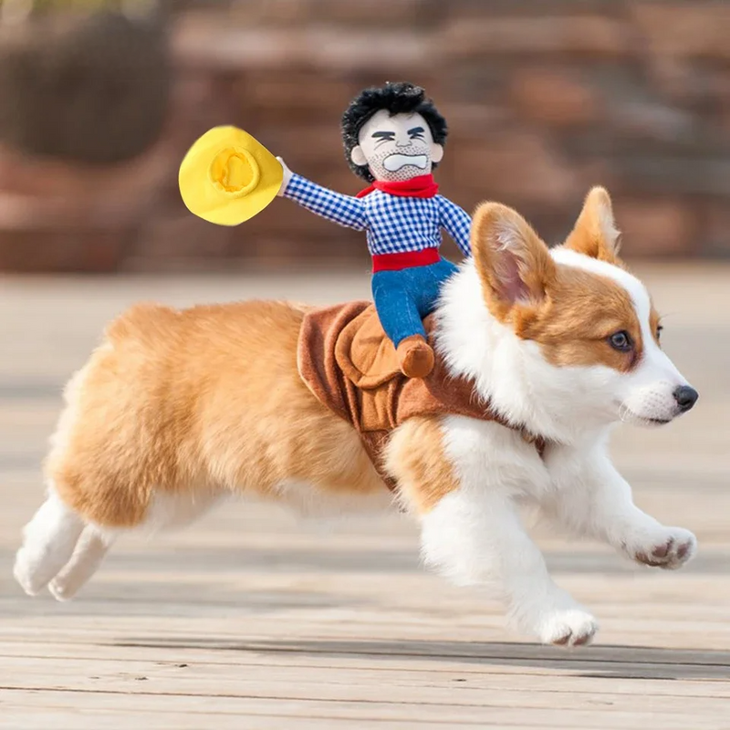 RiderRanch – Costume de cowboy pour animaux avec cavalier en peluche
