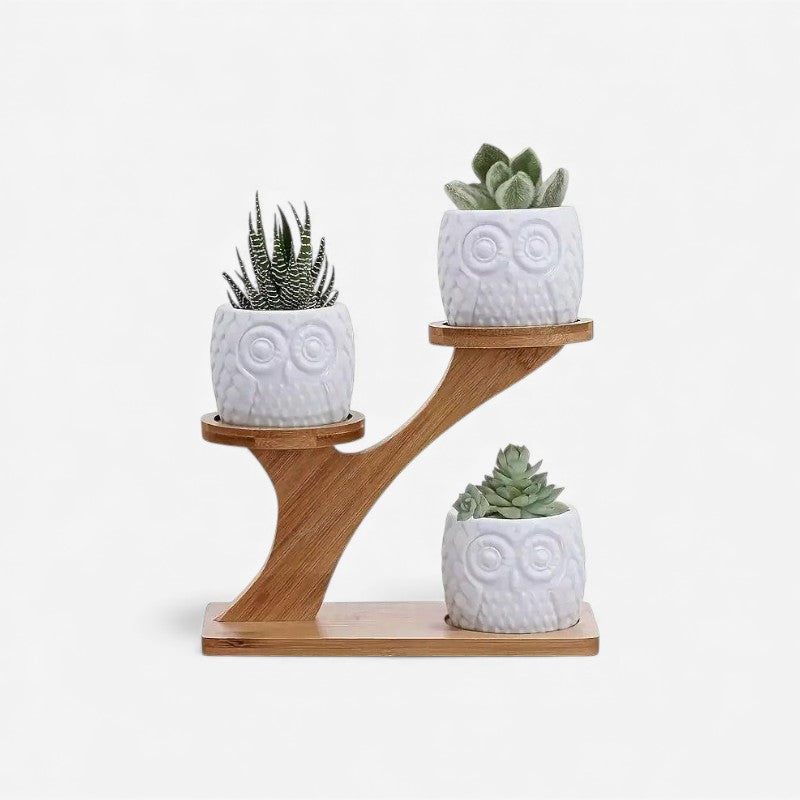 BloomStand - Suport multifuncțional pentru plante cu două niveluri și design portabil