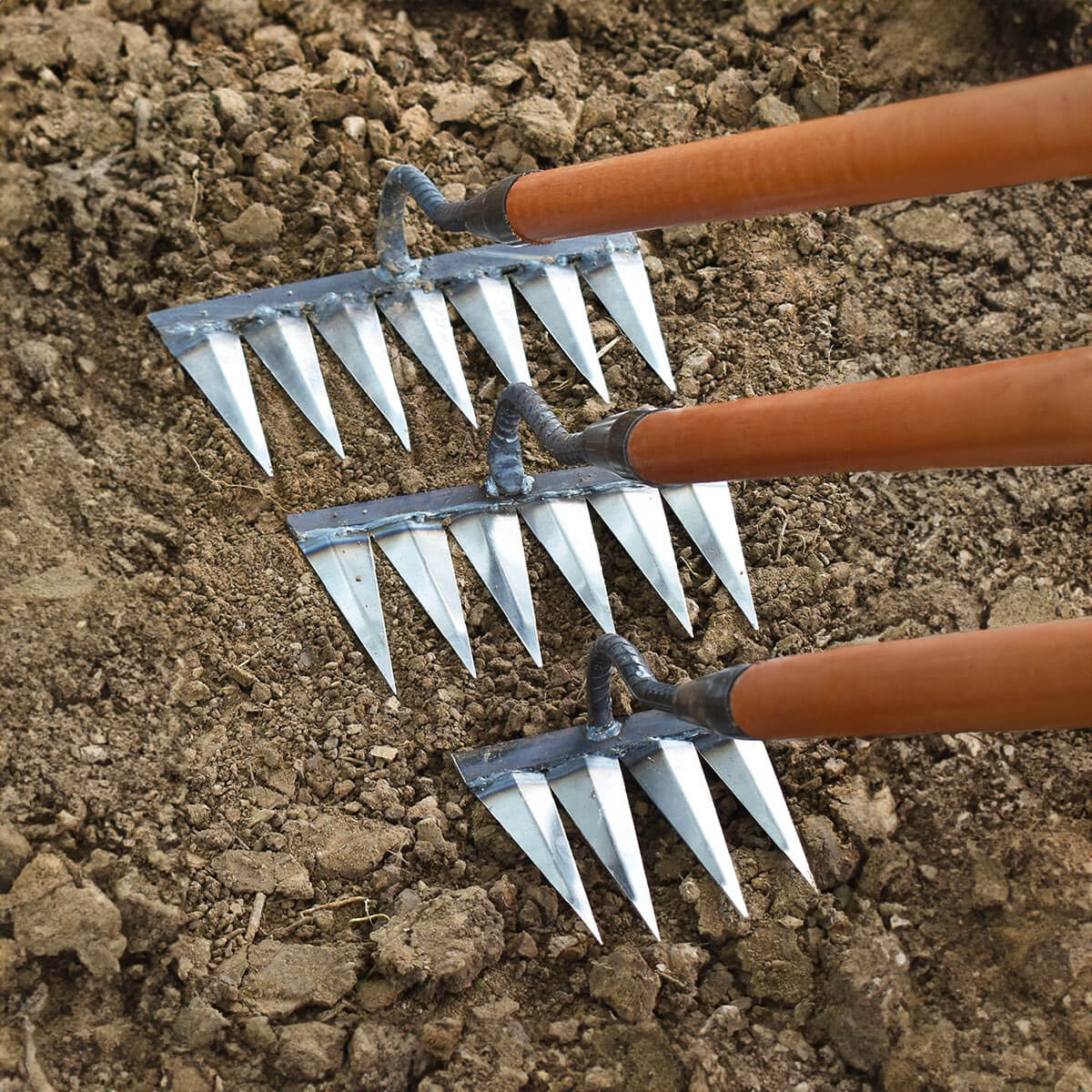 GardenGlide – Coupe-bordures en acier robuste avec dents tranchantes pour un entretien facile du jardin