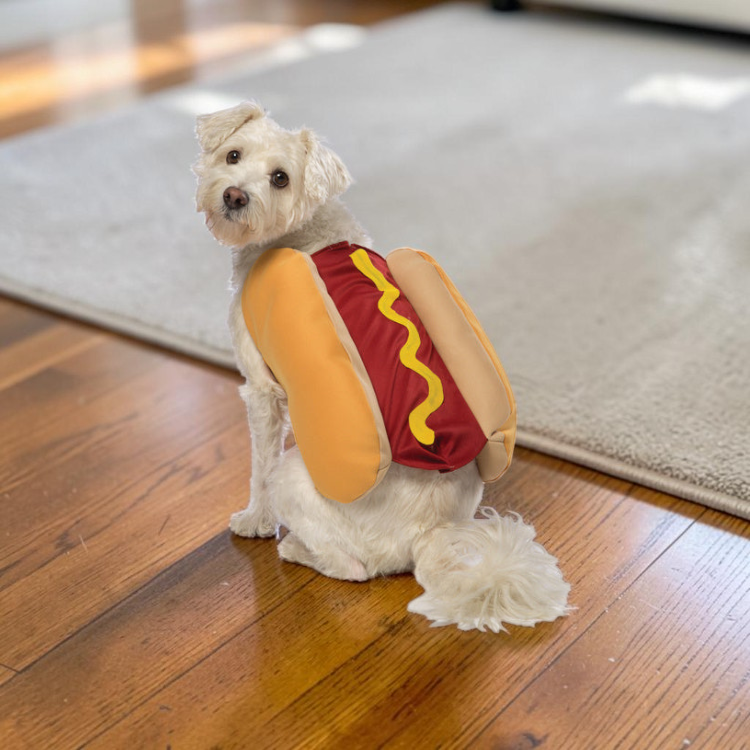 BarkBite – kostým hot dogu pro psy s veselým designem
