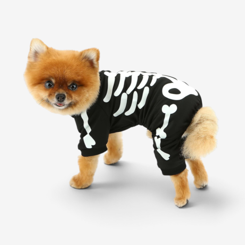 BoneTrail - Glow in the Dark Skeleton Dog Jumpsuit